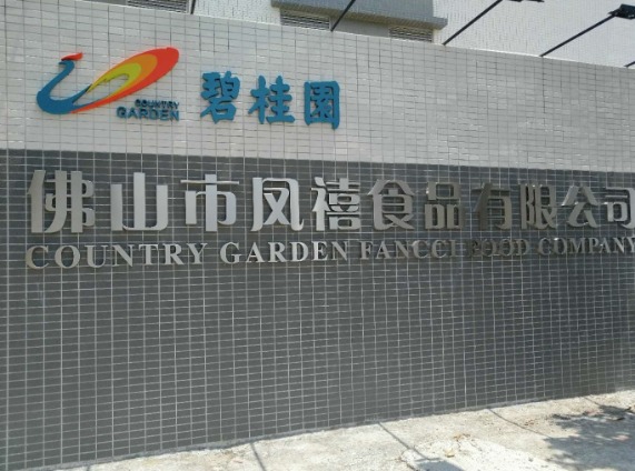 碧桂園旗下食品公司采購食品金屬檢測機